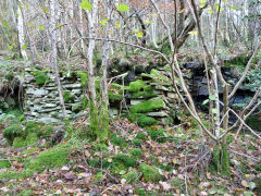 Stone buildings at Craig Furnace, Nant Gwyddon Valley, Abercarn, November 2011
